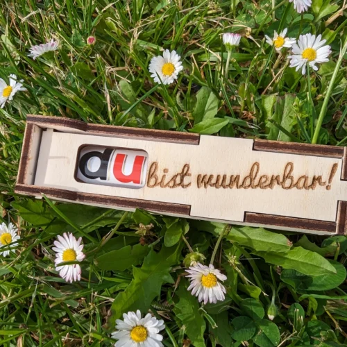 Spruchbox Duplo Du bist wunderbar! auf Wiese